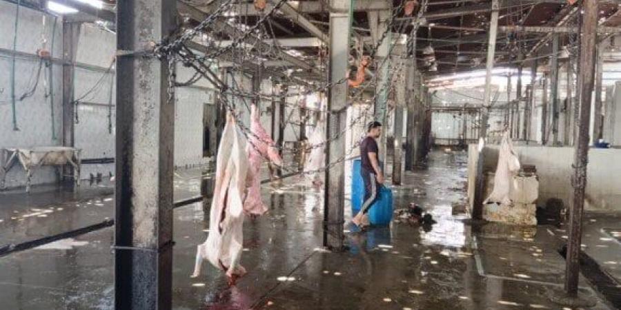 السكرتير العام المساعد لمحافظة الإسماعيلية يتفقد المجزر الآلي بأبو خليفة وأبو صوير - الكويت الاخباري