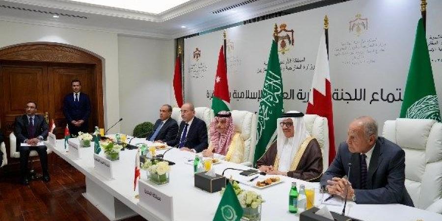 اللجنة الوزارية العربية تجدد دعمها لفلسطين وتندد بتعطيل إسرائيل لزيارتها إلى رام الله - الكويت الاخباري