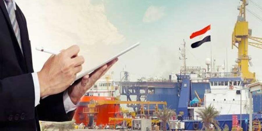 بعد التوجيه الرئاسي| برلماني يوضح أهمية تحفيز الاستثمار في مصر لتحقيق التنمية - الكويت الاخباري
