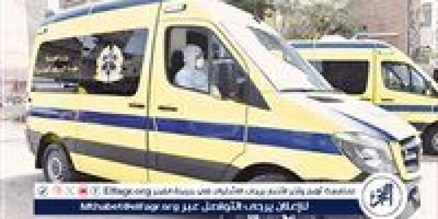 كلب مسعور يعقر ثلاثة أشخاص بمركز البداري فى أسيوط - الكويت الاخباري