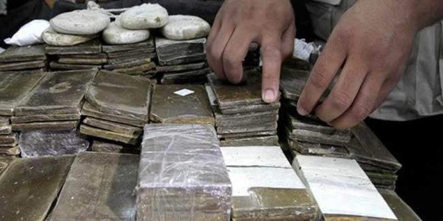 ضبط 7 قضايا اتجار بالمخدرات والسلاح خلال حملات أمنية في دمياط وأسوان - الكويت الاخباري