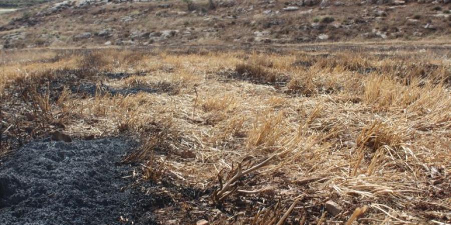 هذا ما تبقّى لمناطق برام الله لمواجهة عنف المستوطنين - الكويت الاخباري
