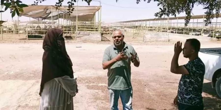 الإدارة العامة لشئون البيئة بالبحر الاحمر تتفقد المجزر وشوادر بيع الخراف والاضاحى - الكويت الاخباري