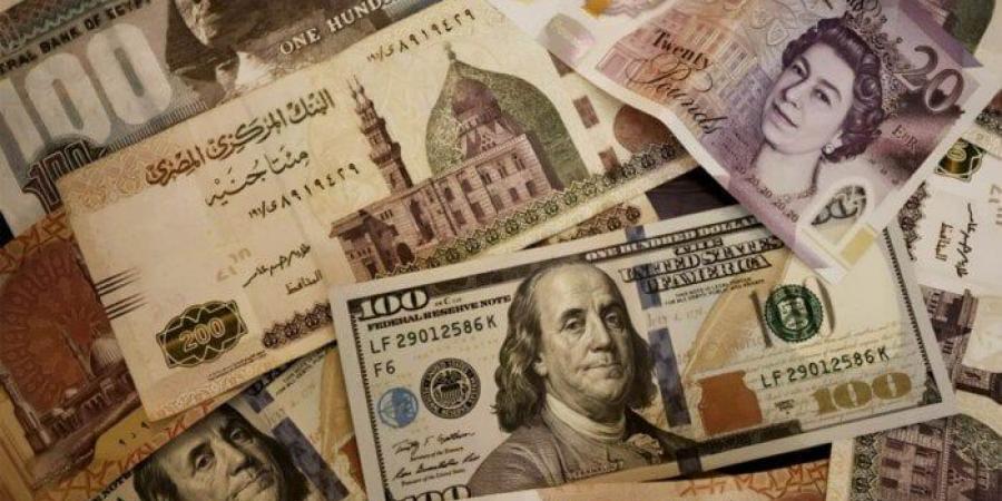 البنك المركزي: 48.526 مليار دولار صافي احتياطي النقد الأجنبي في مصر بنهاية مايو - الكويت الاخباري