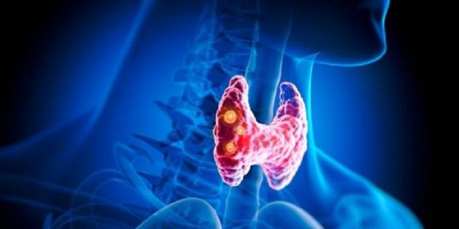 طرق طبيعية لدعم الغدة الدرقية وتحسين وظائفها - الكويت الاخباري