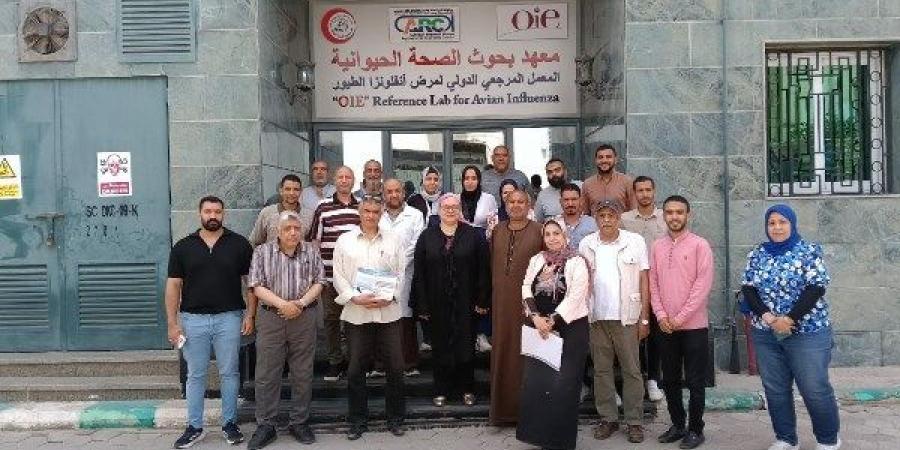 معهد الصحة الحيوانية ينظم برنامج تدريبي لمربي الدواجن والماشية بالمحافظات - الكويت الاخباري