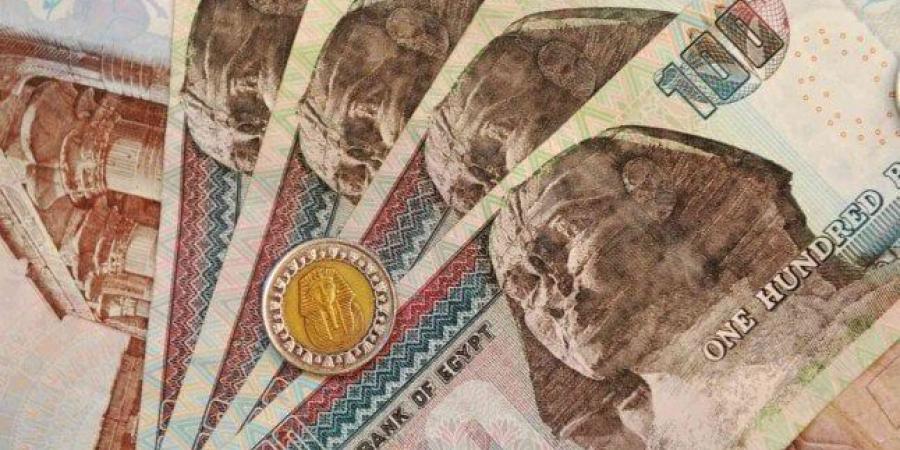 في إجازة عيد الأضحى.. ما مصير شهادات الادخار الجديدة والمنتهية ببنكي مصر والأهلي؟ - الكويت الاخباري