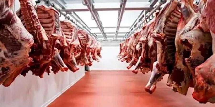 مجازر القاهرة تفتح أبوابها مجانا لذبح الأضاحي طوال أيام العيد - الكويت الاخباري