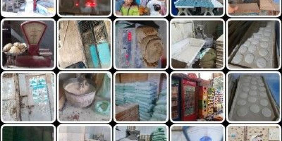 تموين القليوبية تحرر 396 محضرا ومخالفة خلال حملات على الاسواق - الكويت الاخباري