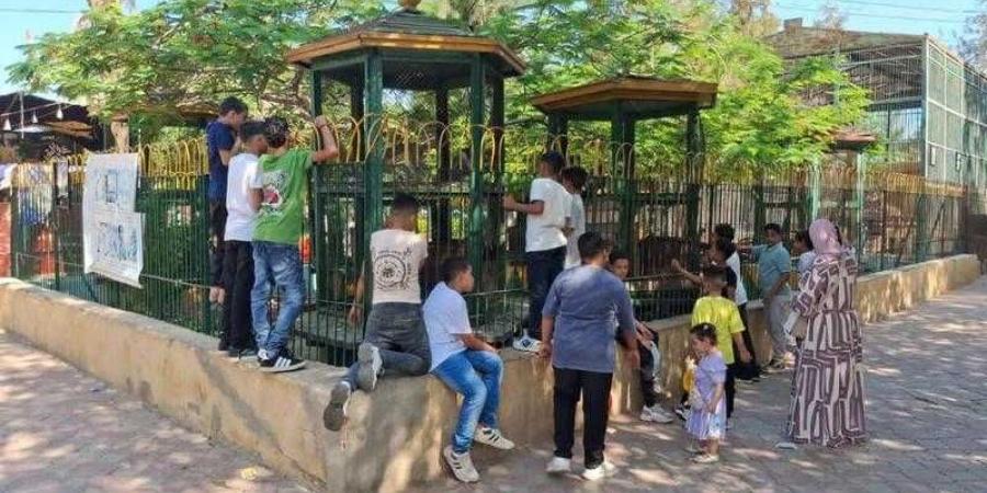”الزراعة”: حدائق الحيوان الإقليمية والأسماك بالزمالك استقبلت 38 ألف زائر - الكويت الاخباري