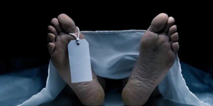 حدث وأنت نائم| طالب يطعن زميله بـ «كتر».. وشاب يقتل زوجته في البحيرة - الكويت الاخباري