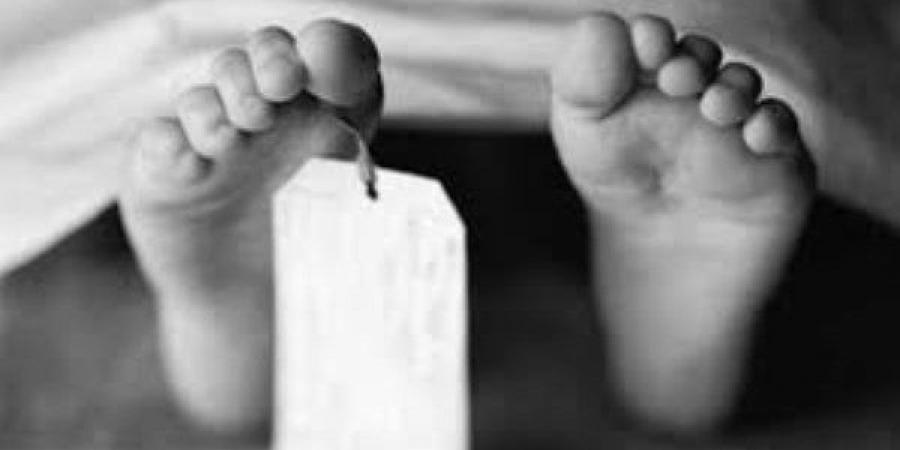 شهيد العمل.. مصرع كهربائي صعقًا أثناء تركيب إنارة حفل زفاف في المراغة - الكويت الاخباري