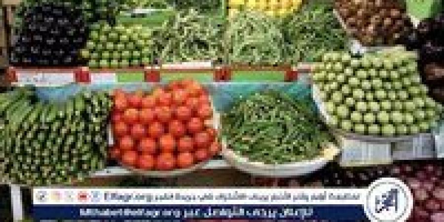 أسعار الخضروات اليوم الخميس 12-6-2025 في قنا - الكويت الاخباري