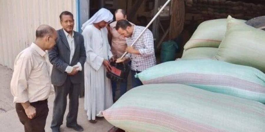 تخطت النص مليون.. استمرار أعمال توريد القمح بشون وصوامع المنيا - الكويت الاخباري