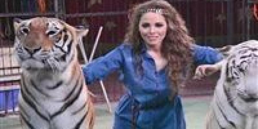 اليوم ثاني جلسات محاكمة "أنوسة كوتة "بتهمة إهمال تسبب في بتر ذراع عامل بسيرك طنطا - الكويت الاخباري