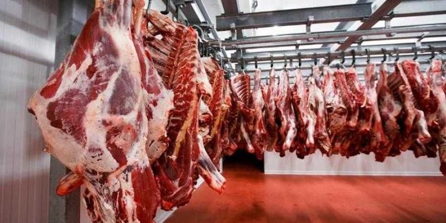 أسعار اللحوم الحمراء اليوم الأحد - الكويت الاخباري