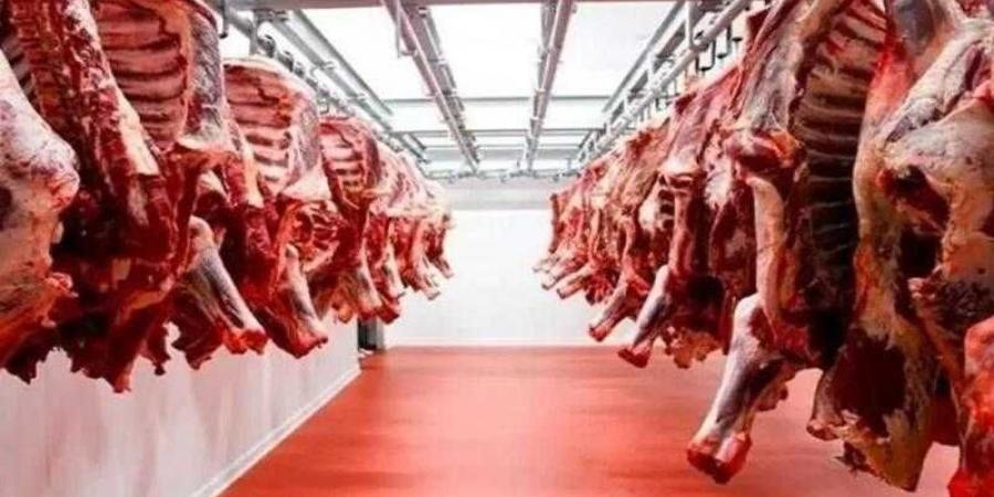 أسعار اللحوم الحمراء اليوم الإثنين - الكويت الاخباري