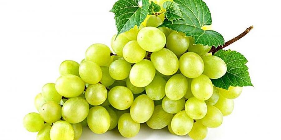فوائد العنب الأخضر: - الكويت الاخباري