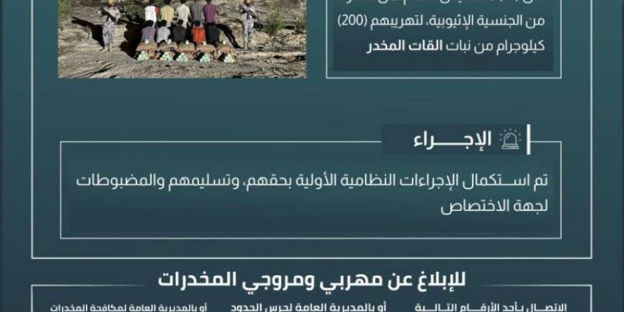 حرس الحدود بعسير يقبض على 10 مخالفين لنظام أمن الحدود لتهريبهم 200 كيلوجرام من نبات القات المخدر - الكويت الاخباري
