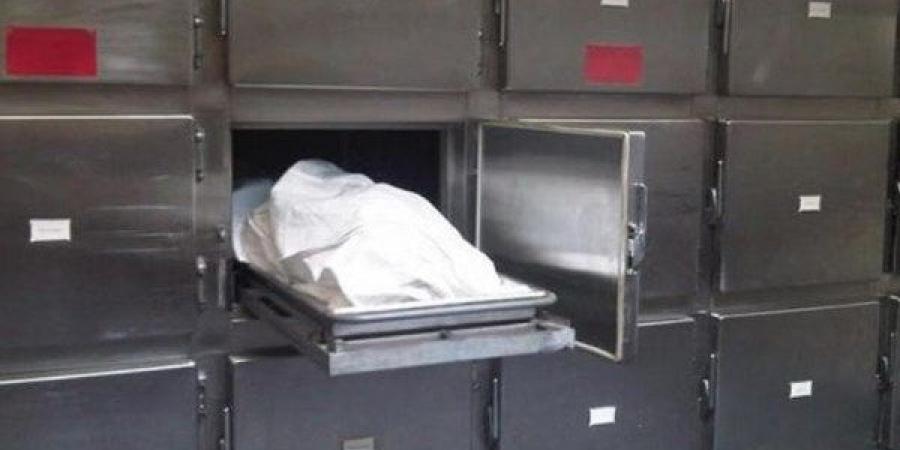 مصرع شخص مجهول الهوية صدمه قطار بكفر العرب بطلخا في الدقهلية - الكويت الاخباري