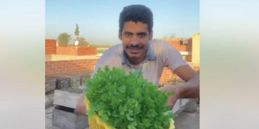 طريقة السمالوسي .. حيلة جديدة لزراعة الخضروات تحقق ملايين المشاهدات - الكويت الاخباري