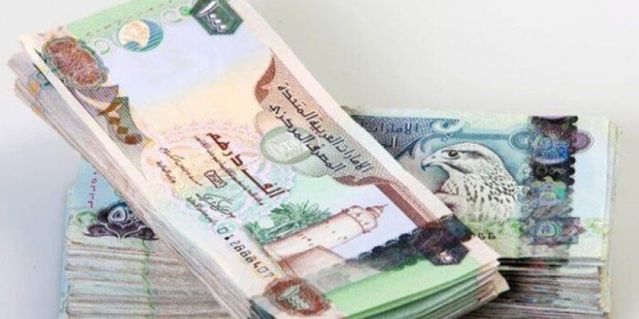 سعر الدرهم الإماراتي مقابل الجنيه المصري اليوم الجمعة 27 يونيو 2025 - الكويت الاخباري