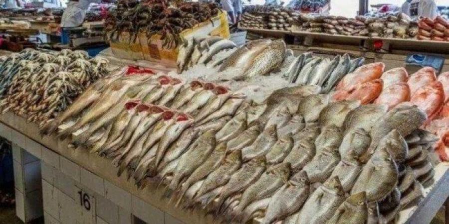 أسعار السمك اليوم السبت 28 يونيو 2025 في الأسواق.. البوري بـ220 جنيها - الكويت الاخباري