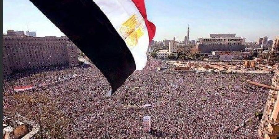 برلماني : ثورة 30 يونيو براند عالمى يدرس في كيفية إنقاذ الأوطان - الكويت الاخباري
