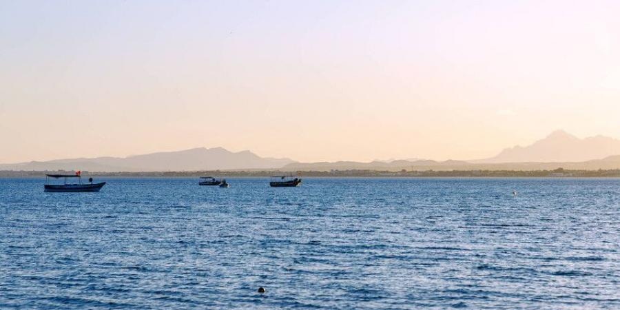 عاجل .. تونس.. العثور على جثة "الطفلة مريم" في عرض البحر بمدينة بني خيار الساحلية - الكويت الاخباري