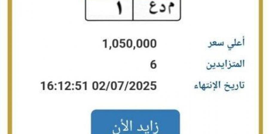 تخطت المليون جنيه.. مزايدة نارية على لوحة سيارة مميزة - الكويت الاخباري