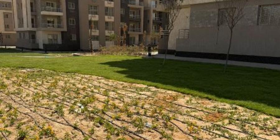 بشرة خير لحاجزى الوحدات السكنية فى مدينة الشيخ زايد.. بالصور - الكويت الاخباري