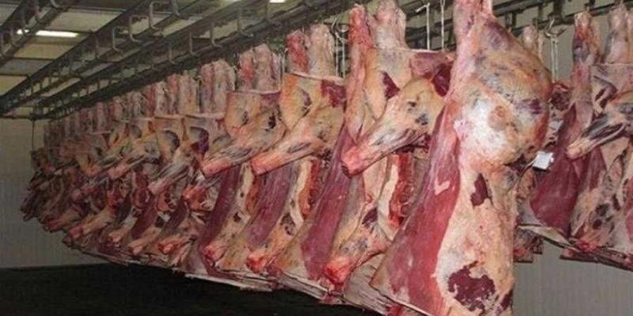 أسعار اللحوم الحمراء اليوم الخميس - الكويت الاخباري