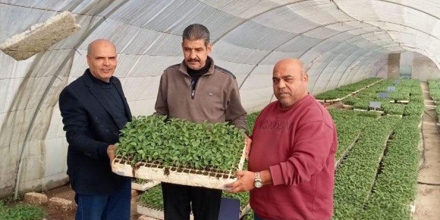 الزراعة: تصدير 1.2 مليون شتلة فراولة و343 ألفا فاكهة - الكويت الاخباري
