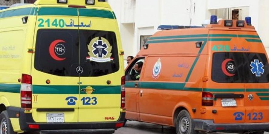 حادث مأساوي في طوخ.. مصرع ناشئ طلائع الجيش وصديقه تحت عجلات القطار - الكويت الاخباري