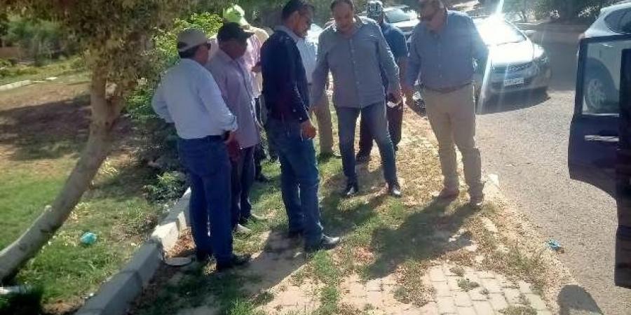 رئيس جهاز الشروق يتابع أحدث أعمال الزراعة والتجميل فى المدينة.. صور - الكويت الاخباري