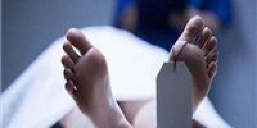 جثة فتاة داخل جوال تهز أبو النمرس تحقيقات موسعة لكشف القاتل وهوية الضحية - الكويت الاخباري