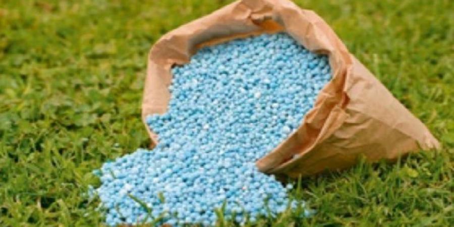 قبل بيعها بالأسواق.. 5 أطنان محسنات زراعية مجهولة المصدر في قبضة الرقابة التموينية بالبحيرة - الكويت الاخباري