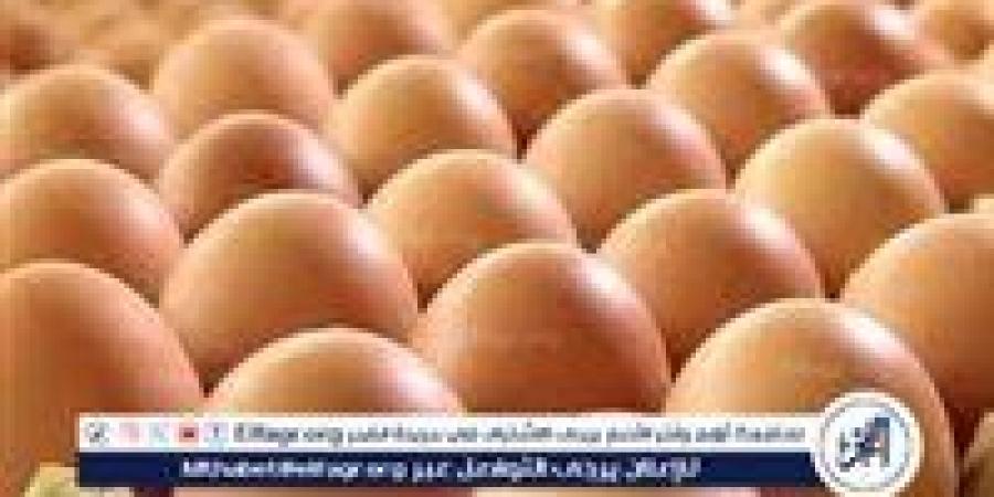 أسعار طبق البيض اليوم الأحد 6-7-2025 في قنا - الكويت الاخباري
