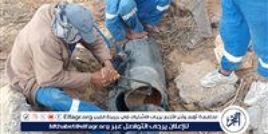 رئيس مياه القناة: استخراج جذور الأشجار من شبكة لـ 40 فدان بالقنطرة شرق - الكويت الاخباري