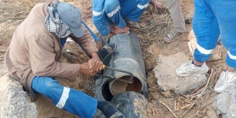 الانتهاء من تطهير شبكات مياه القناة من جذور الأشجار بمنطقة الـ 40 فدان - الكويت الاخباري