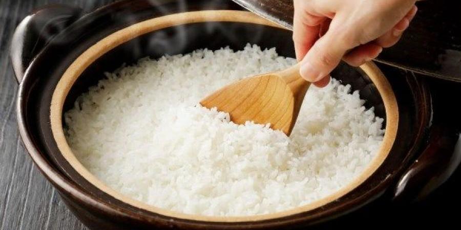 الأرز أم الخبز.. أيهما أفضل لإنقاص الوزن؟| خبير يكشف عن مفاجأة - الكويت الاخباري