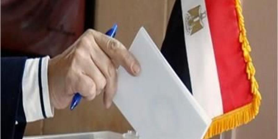 انتخابات مجلس الشيوخ .. تقدم  19 مرشحا لخوض الانتخابات في البحيرة - الكويت الاخباري