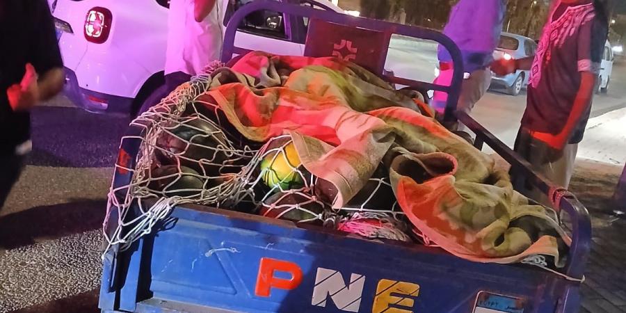  رئيس الجهاز: حملات ليلية مكثفة لضبط المخالفات في الشيخ زايد - الكويت الاخباري