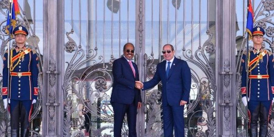 عماد الدين حسين: مصر تسعى لدعم الصومال أمنيًا وعسكريًا لمواجهة الإرهاب - الكويت الاخباري