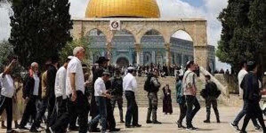 انتهاك جديد لقدسية الأقصى.. المستوطنون يقتحمون الباحات تحت حماية الاحتلال| تقرير - الكويت الاخباري