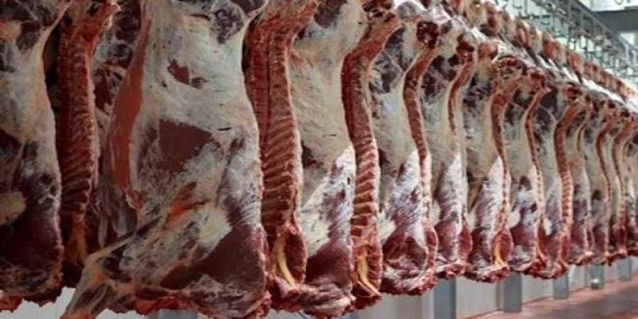 أسعار اللحوم الحمراء اليوم الثلاثاء - الكويت الاخباري
