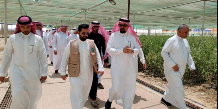 بيئة القطيف تحتفي باليوم الدولي لغابات المانجروف - الكويت الاخباري