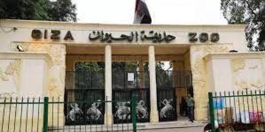 ما هو سعر تذكرة دخول حديقة الحيوان بعد افتتاحها؟ - الكويت الاخباري