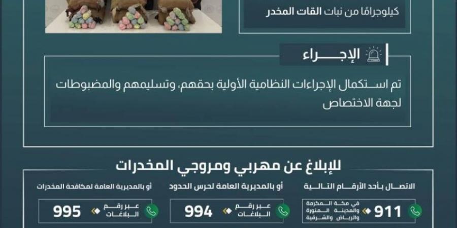 القبض على 6 مخالفين بعسير لتهريبهم 90 كلجم من نبات القات - الكويت الاخباري