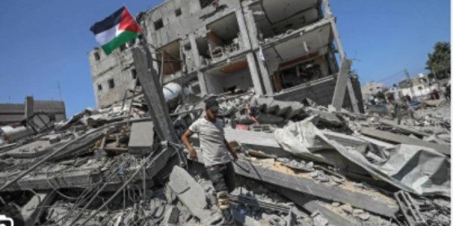 عصام أبو بكر: استهداف الصحفيين بغزة يتجاوز المسجل في حربين عالميتين - الكويت الاخباري